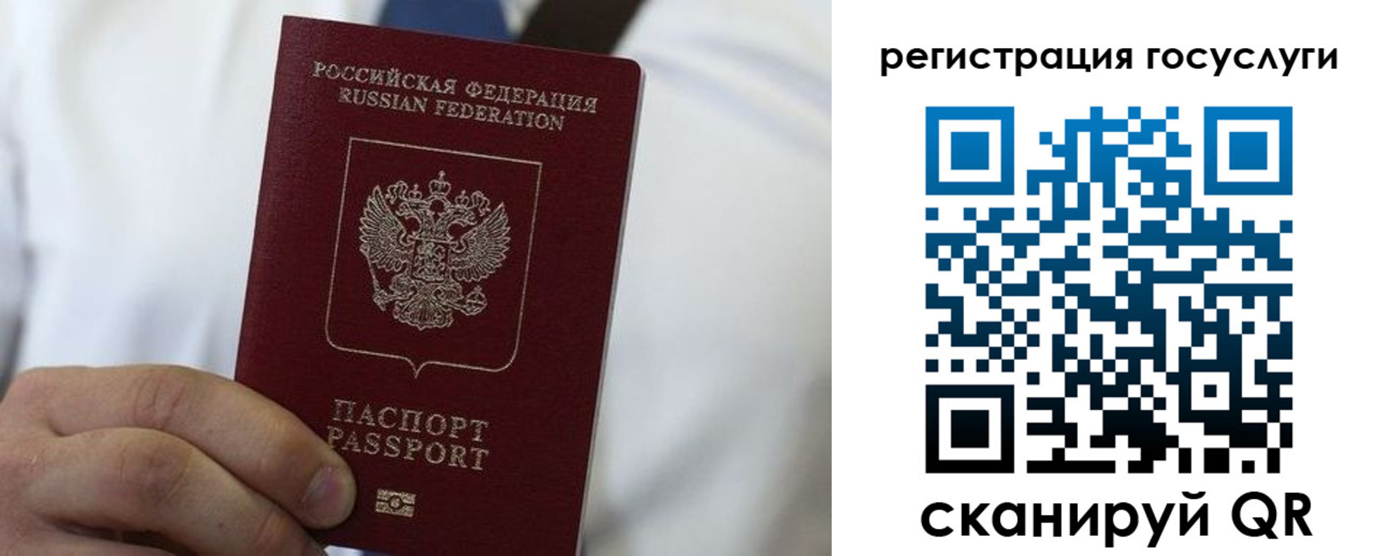 прописка в Зеленогорске
